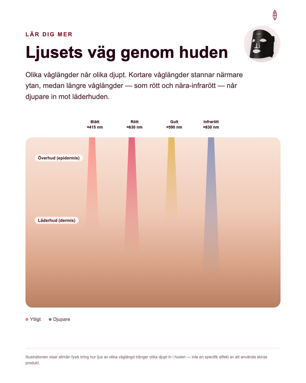 skira - Ljusets väg genom huden